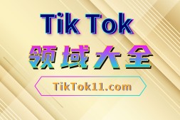 Tik Tok变现领域大展