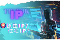 2024年TikTok原生住宅IP服务商推荐,运营必备
