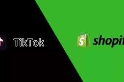 Tiktok+独立站,更快获取流量赚美金!