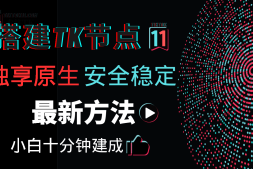 搭建自己的专属原生独享TikTok节点——最新最稳定的naive节点搭建