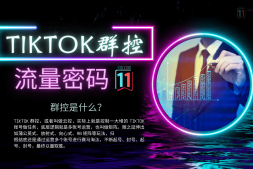 TikTok 云群控背后的关键