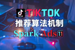 TikTok 视频的推荐算法机制和 Spark Ads 浅谈