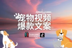 分享TikTok35个宠物类爆款文案(中英文对照)