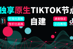 搭建自己的专属独享TikTok节点—国际版抖音节点搭建教程