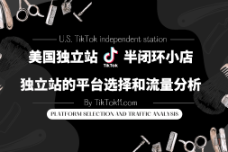 美国独立站半闭环小店教程之独立站的平台选择和流量分析