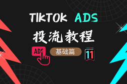 TikTok Ads百万GMV投流教程——基础篇