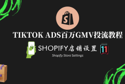 TikTok百万GMV投流教程——Shopify店铺设置