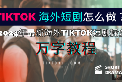 TikTok 海外短剧怎么做?2024年最新海外TikTok短剧掘金万字教程