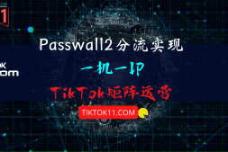 软路由Passwall2分流实现多手机多IP分流实现TikTok矩阵运营