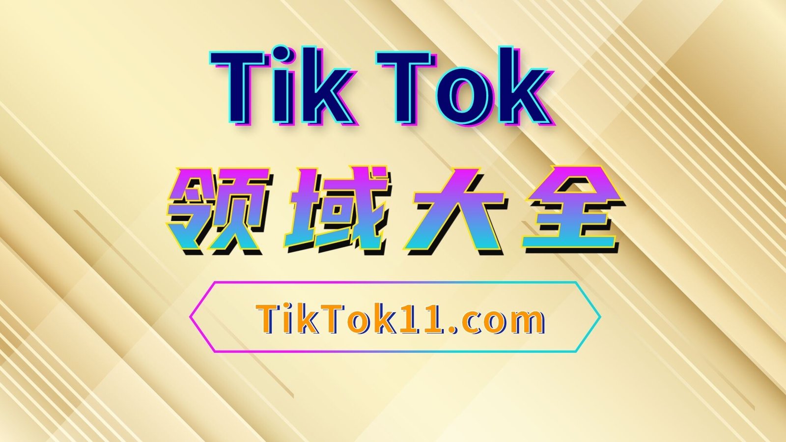 TikTok变现领域大赏