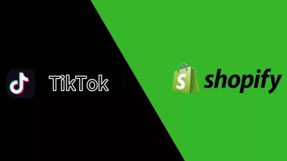 Tiktok+独立站,更快获取流量赚美金！