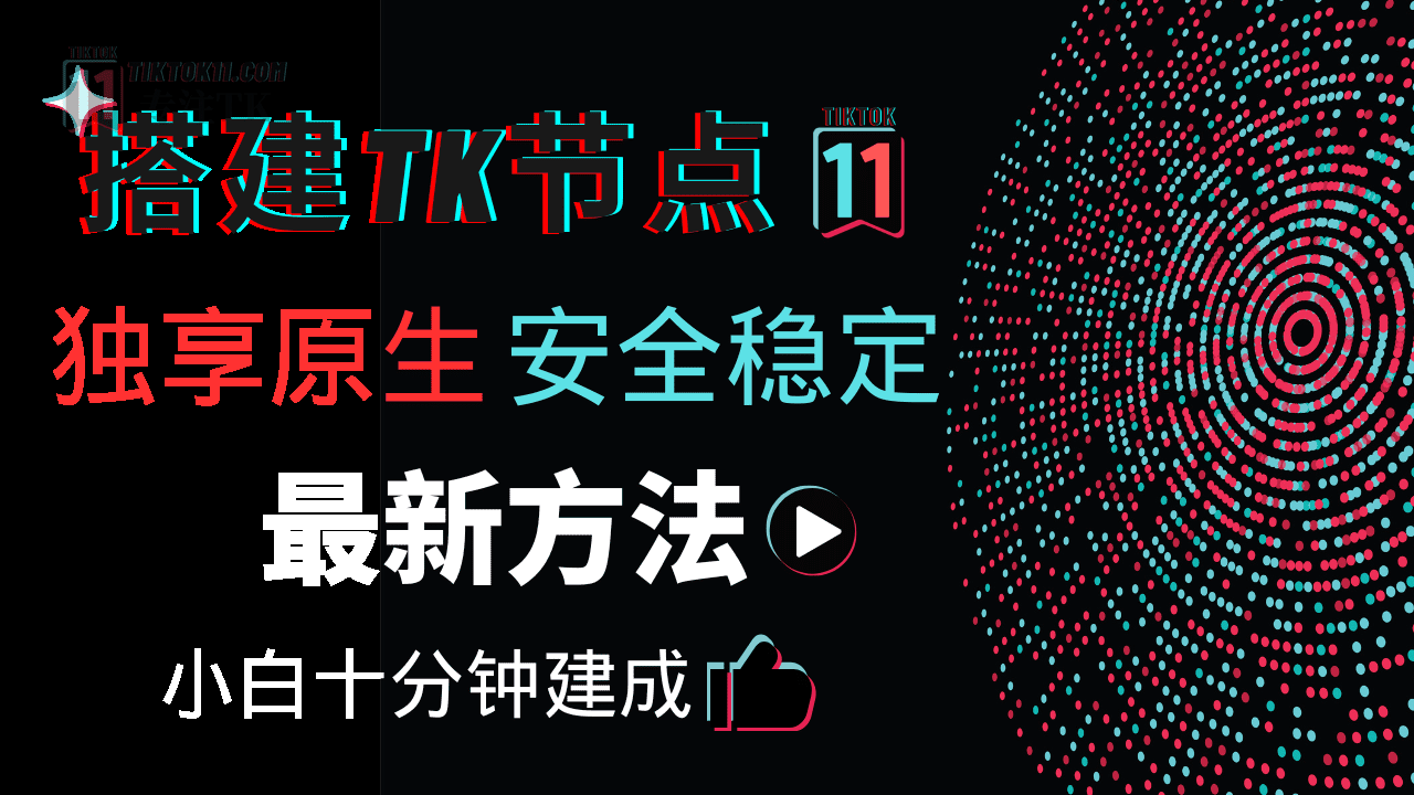 搭建自己的专属原生独享TikTok节点——最新最稳定的naive节点搭建